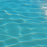 The Riviera Charter