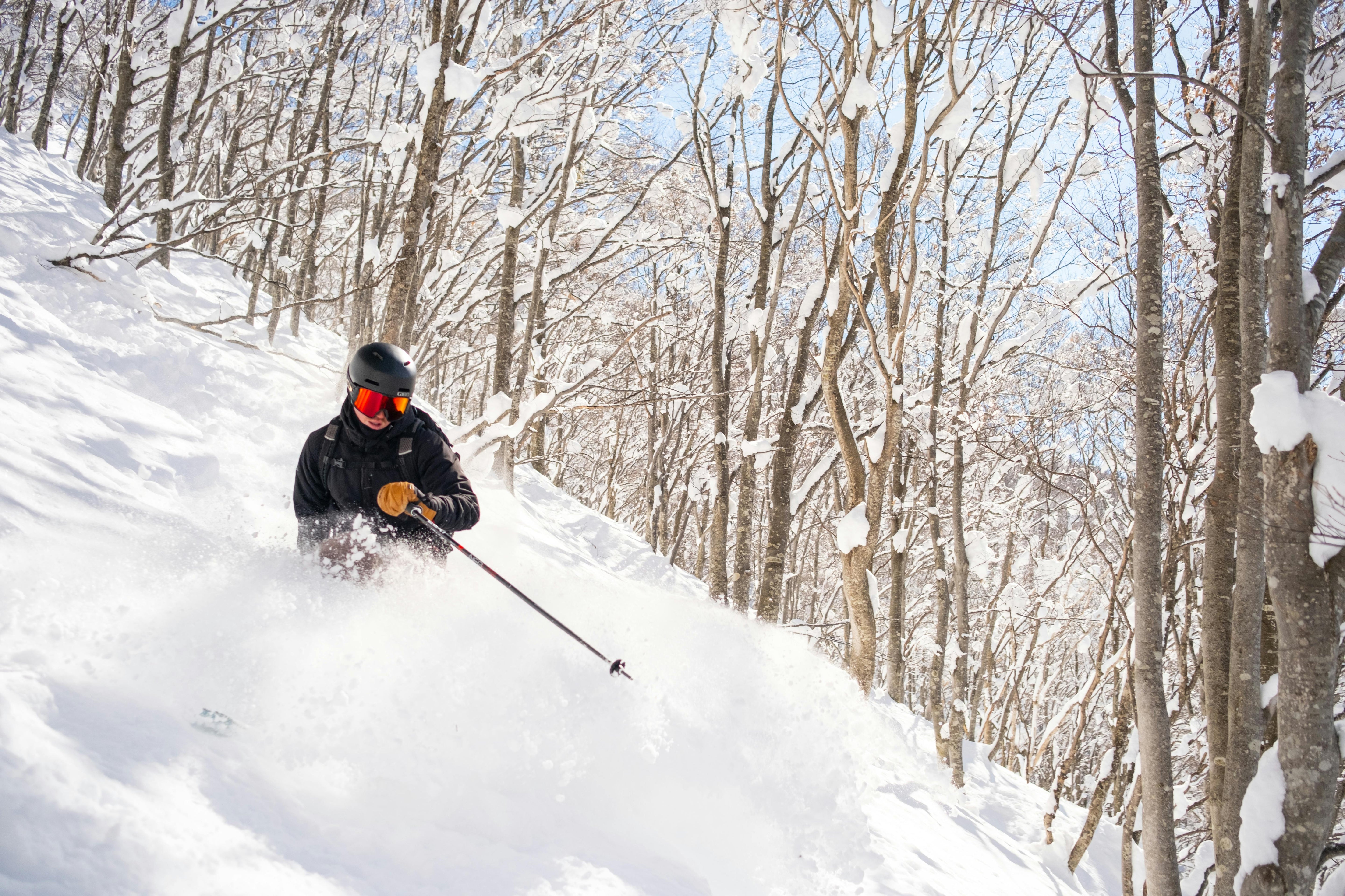 World's Best Powder Snow