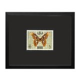 Tiger Dubai Butterfly