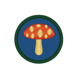 Magic Mushroom