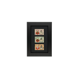 Abu Dhabi Ruler Set