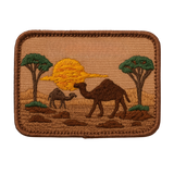 The Land of Camels 