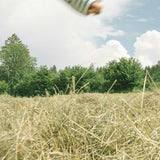London + English Countryside Escape