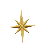 Northern Star