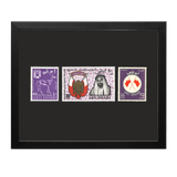 Al Ain Core